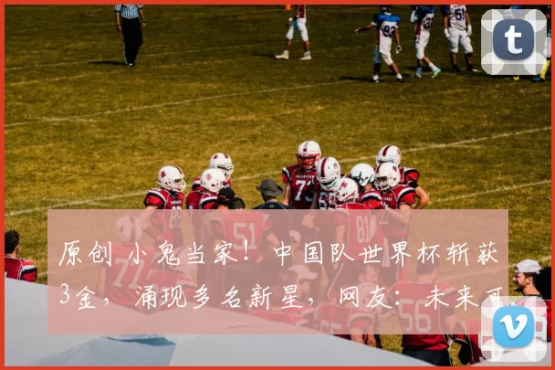 原创 小鬼当家！中国队世界杯斩获3金，涌现多名新星，网友：未来可期